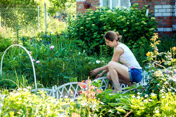 Fototapeta na wymiar Beautiful girl plants flowers on the background of nature, young girl is planting flowers in the garden on a sunny day
