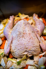 Raw whole chicken uncooked skin closeup vertical view on baking tray with fennel carrots vegetables and black pepper seasoning on bird