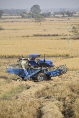 Fototapeta premium tractor in the field