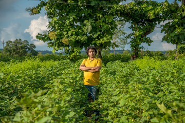 Naklejka na ściany i meble A young man farmer in a cotton farm examines and observing the field.