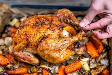 Roasted tied baked cooked whole chicken with woman removing string with fennel carrots vegetables and black pepper seasoning on skin