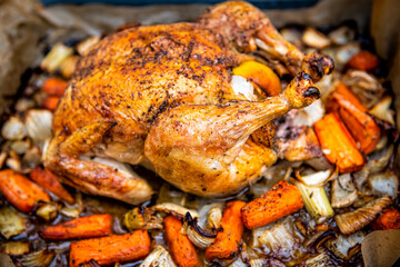 Roasted golden baked cooked whole chicken flat top lay view looking down with fennel carrots...