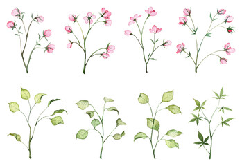 Collection of hand painted watercolor pink flowers and green leaves