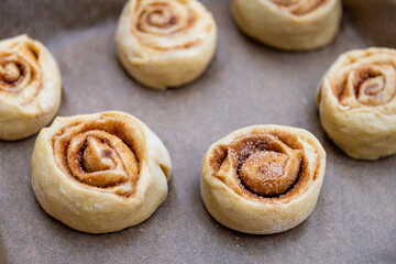 Obraz na płótnie Canvas Small raw uncooked dough for cinnamon buns rolls swirl on parchment paper for rising and baking