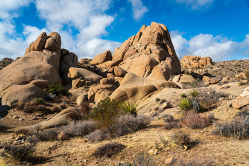 View of the Rock Formations at Joshua Tree National Park