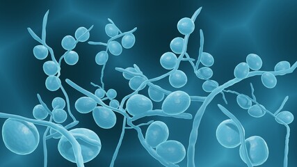 Candida fungi are pathogenic yeasts that are often drug resistant and cause dangerous infections in human body © Artur