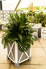 Jewish wedding outdoors with white roses