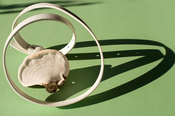 Innovative vegan leather belt made of mycelium fiber. Women's white belt and mushroom on the green background. Concept of mushroom leather skin, reusable alternative leather, top view, flat lay