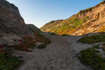 The Sandstone Cliffs at Fort Ord Dunes State Park