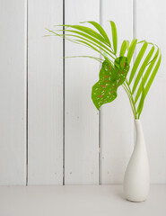 Green palm lraf and Caladium in modern vase set on  white wood table and background with copy space, soft tone still life