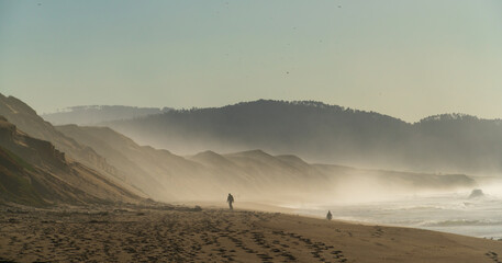 A Misty Morning at Fort Ord Dunes State Park