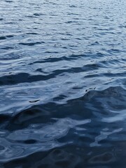 the sea waves during evening time 