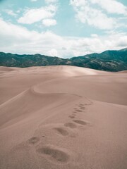 Desert sand dune landscape.