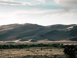 Desert sand dune landscape.