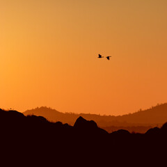 silhouette at sunset