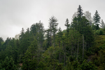 Big Sur during Summer in California