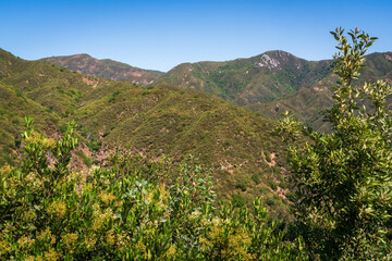 Obraz premium Los Padres National Forest, California