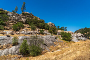 Los Padres National Forest, California