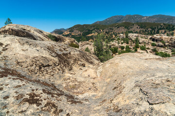 Los Padres National Forest, California