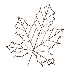 maple autumn leaf. Botanical, plant design element with outline. Autumn time. Doodle, hand-drawn. Flat design. Black white vector illustration. Isolated on a white background.