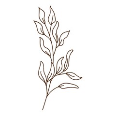 abstract twig with leaves. A blade of grass. Autumn time. Botanical, plant design element with outline. Doodle, hand-drawn. Flat design. Black white vector illustration. Isolated on white.