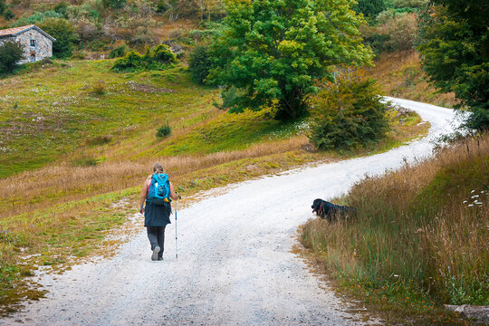 Woman walking next to a black mastiff dog, along a path of a route in Cantabria, Spain.The photograph is taken on the road that leaves Espinama and arrives at Fuente De.