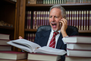 Angry businessman talking on the cellphone and reading a book