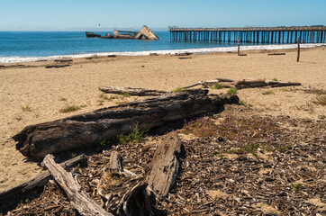 Seacliff State Beach and the S.S. Palo Alto - obrazy, fototapety, plakaty