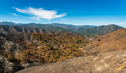 Los Padres National Forest, Forest Fire Aftermath