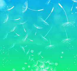 Dandelion seed explosion. White line sketch on turquoise background. Splatters, stains and lights. Positive emotions digital background.