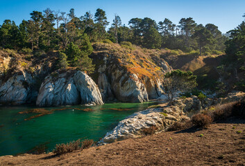 The coast at Point Lobos in California - Powered by Adobe