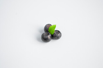 Blueberries on a colored background minimal style