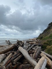 Fototapeta na wymiar Washington State beach on a cloudy day