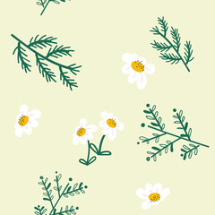 seamless pattern of white daisy flower on green background 