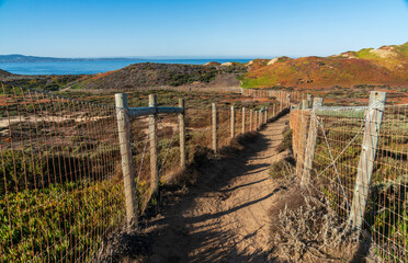 Fototapeta na wymiar Fort Ord Dunes State Park in Coastal Monterey