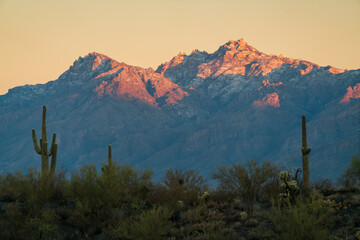 Sunrise at Saguaro National Park in Southern Arizona