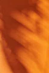 Tropical shadow on the orange wall. Minimal summer travel background
