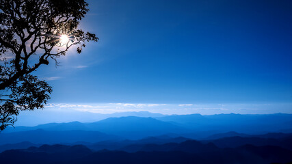 Silhouettes tree on top of mountain  at sunset