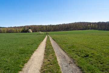 Fototapeta na wymiar Country road in the field with trees in front and beautiful blue sky