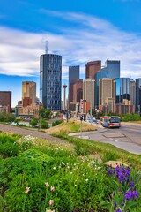 Fototapeta premium Summer Flowers Blooming By Downtown Calgary