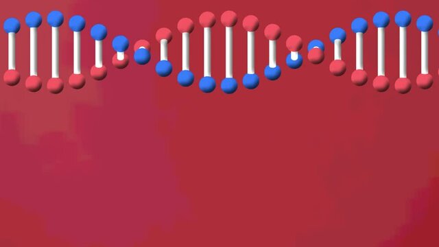 Animation of dna strand spinning on red background