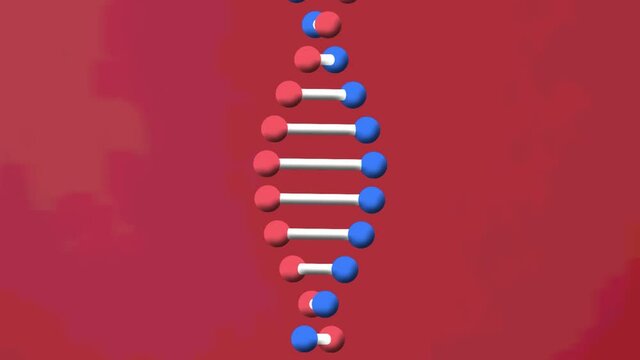 Animation of dna strand spinning on red background