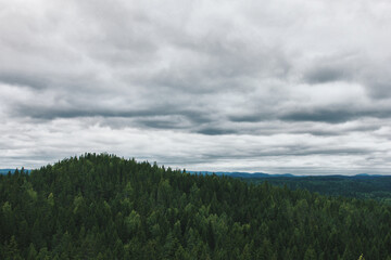 clouds over the forest