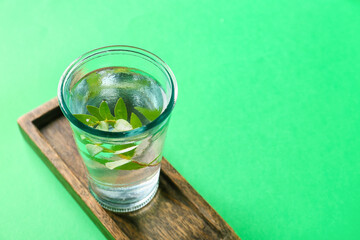 Glass of water with plant branch on color background
