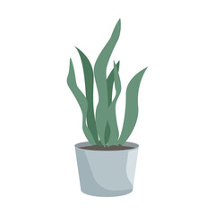 Potted Plant Icon
