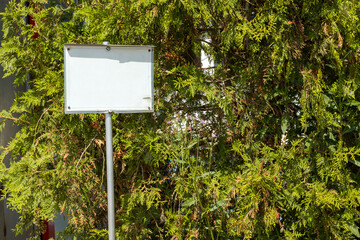 empty advertising space on a pillar near green trees