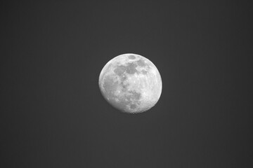 A black and white art portrait of the moon surrounded by the darkness and emptyness of space. All craters and other details of the natural satellite of earth are visible.