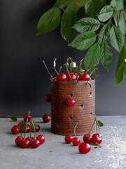 Ripe cherries with leaves in an old tin can