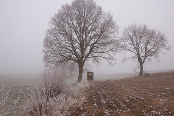 Moody view to a pulpit close to a tree on a field with dense fog and hoar frost in winter.