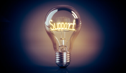 Support concept - shining light bulb - 3D illustration